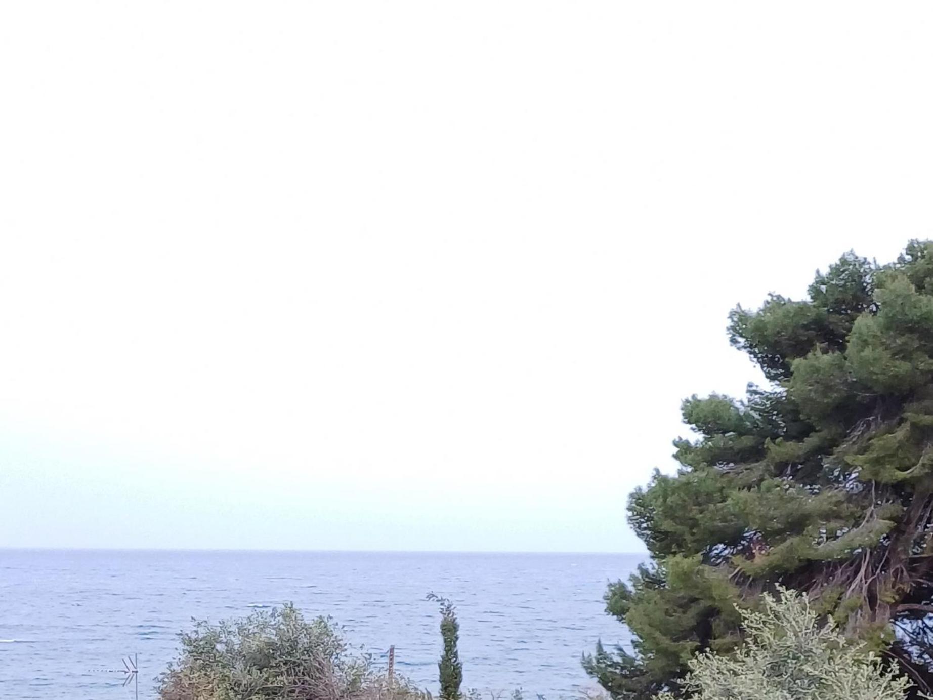בניטסס Flora Studios Corfu - Adults Only חדר תמונה