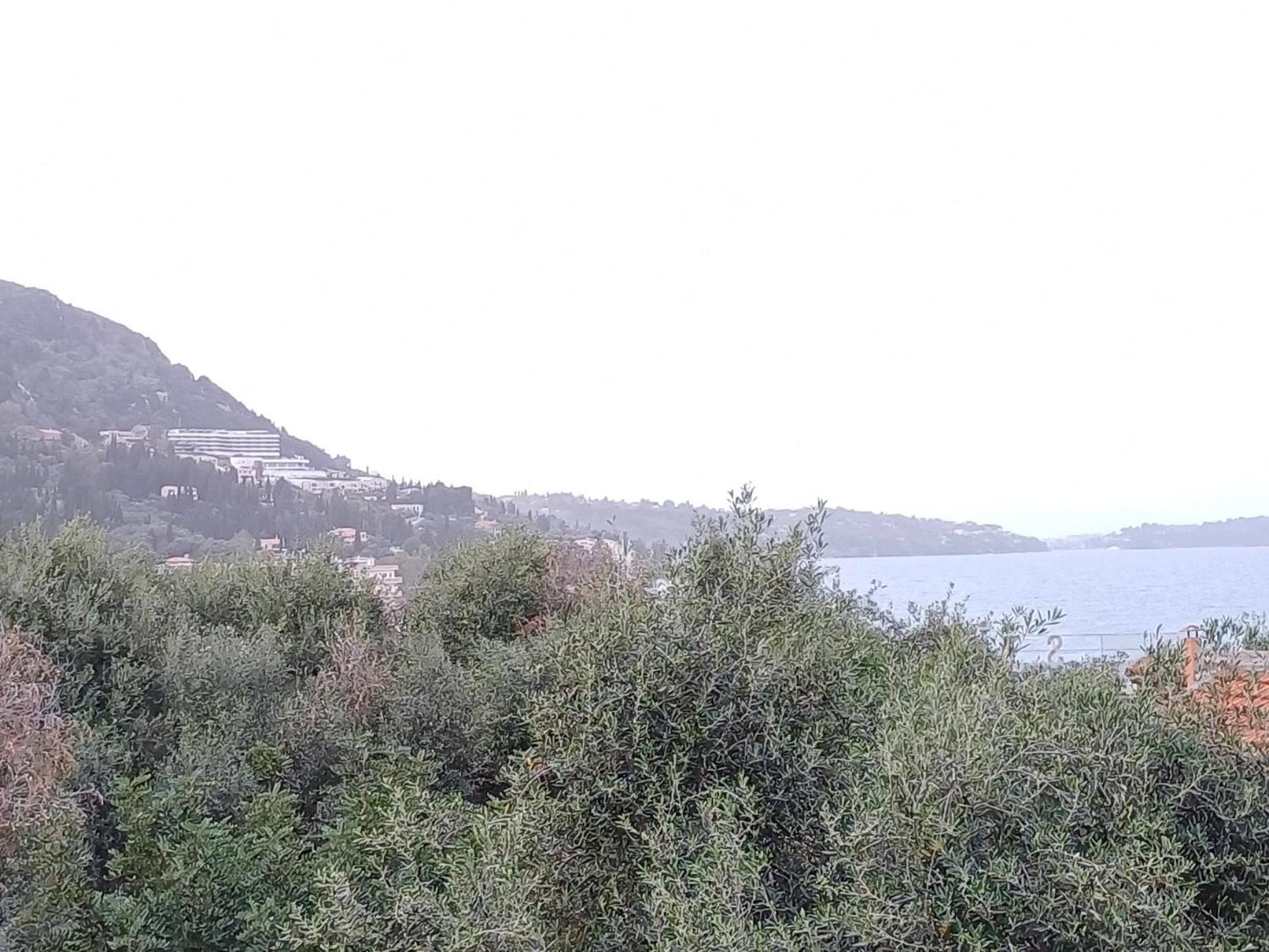 בניטסס Flora Studios Corfu - Adults Only חדר תמונה